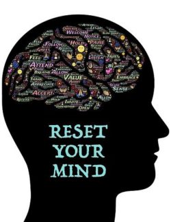 perfil mente cerebro reset